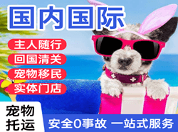 盐城机场货运国际宠物托运 【国